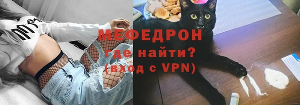 гидра Богданович