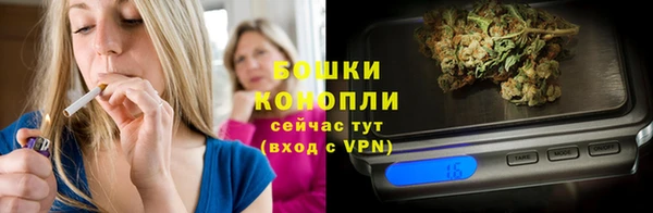 шишки Богородицк